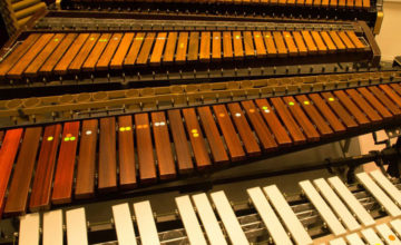 Rhythm-and-Progress percussie presentatie